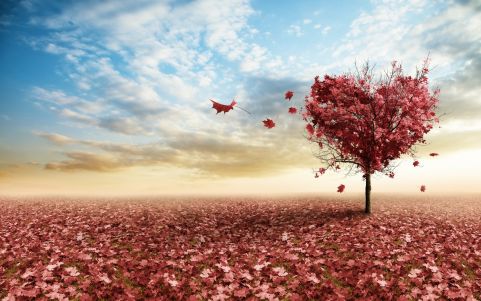 10 tips that could permanently change your life for a better