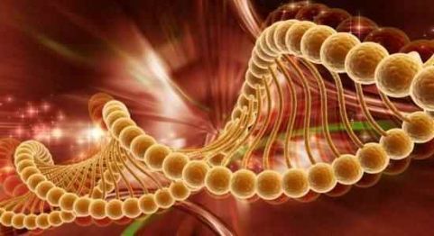 Wave Genetics, Torsion Fields and Our World