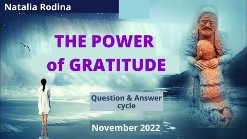 THE POWER OF GRATITUDE