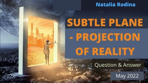 SUBTLE PLANE - PROJECTION OF REALITY